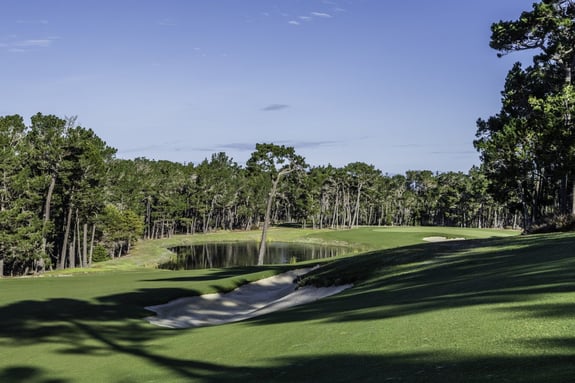 Fine_Fescue_Fairways_3-1200x800