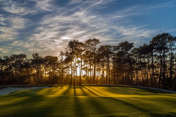 PoppyHills-H15-ref0195-1024x683